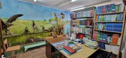 Школьная библиотека